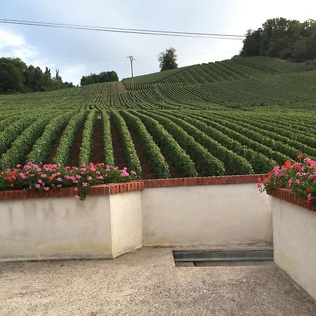La Loge Du Vigneron Villa Vauciennes  Bagian luar foto