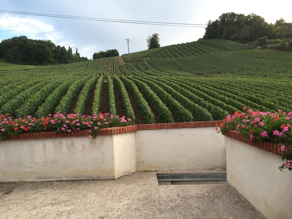 La Loge Du Vigneron Villa Vauciennes  Bagian luar foto